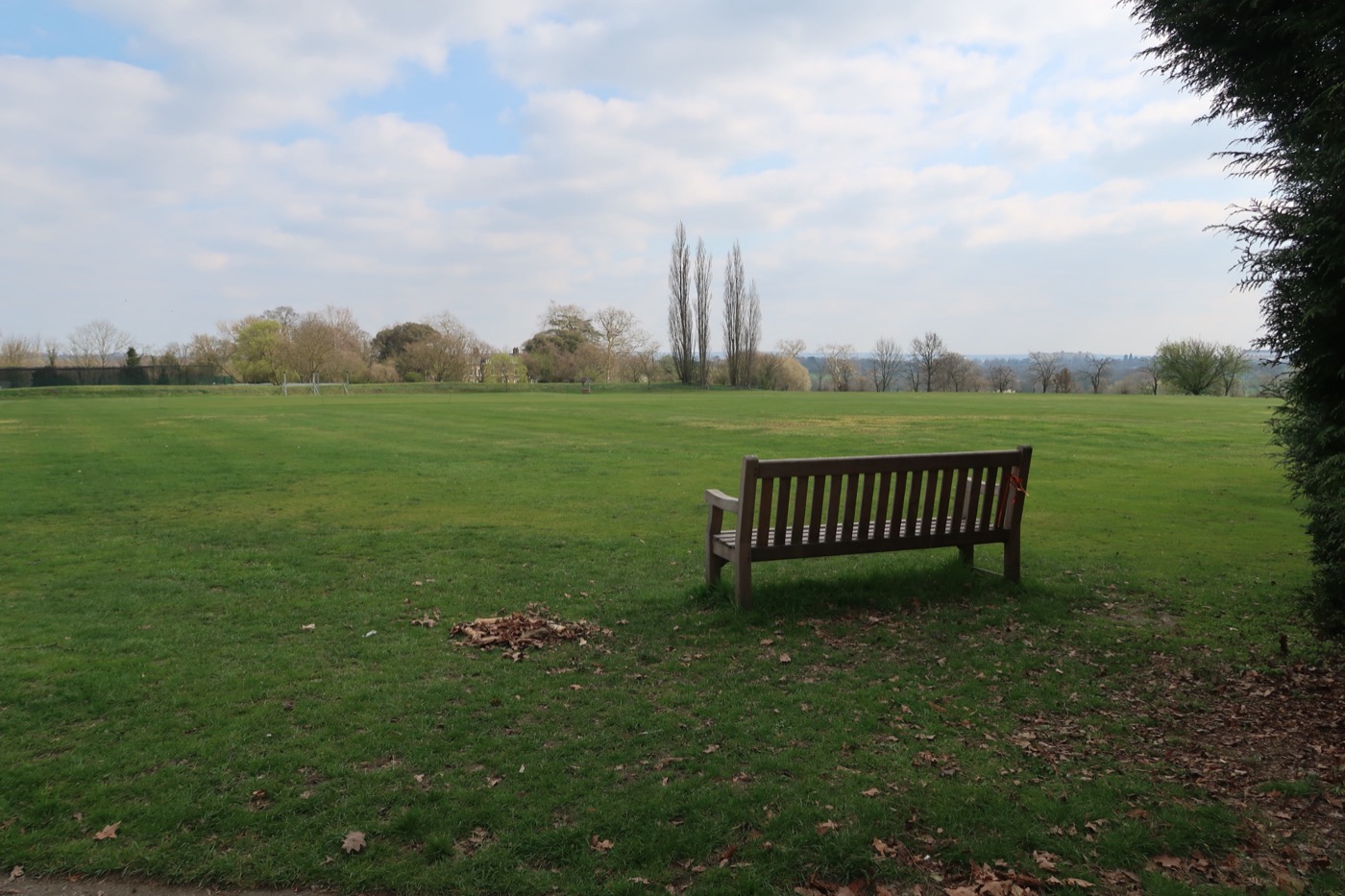 Forest school activities